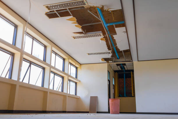 Best Carpet water damage restoration  in Locust, NC