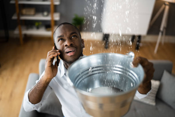 Best Basement water damage restoration  in Locust, NC