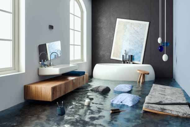 Best Water damage restoration near me  in Locust, NC