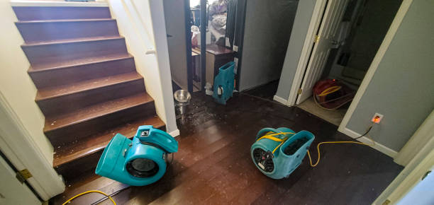 Best Water damage restoration experts  in Locust, NC