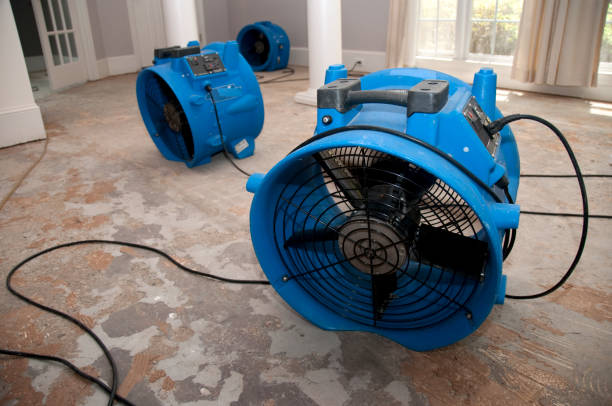 Best Local water damage restoration  in Locust, NC